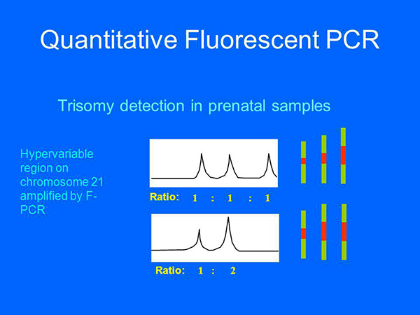 Quantitative Fluorescent PCR